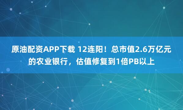 原油配资APP下载 12连阳！总市值2.6万亿元的农业银行，估值修复到1倍PB以上