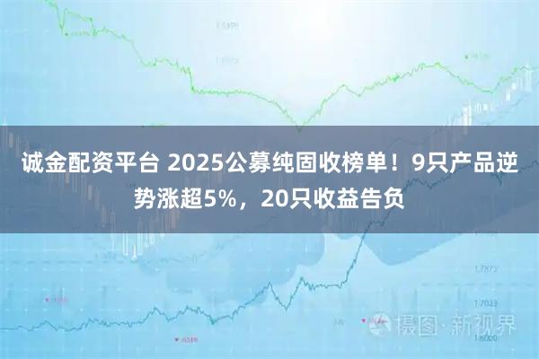 诚金配资平台 2025公募纯固收榜单！9只产品逆势涨超5%，20只收益告负