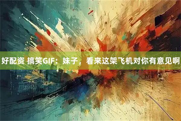好配资 搞笑GIF：妹子，看来这架飞机对你有意见啊